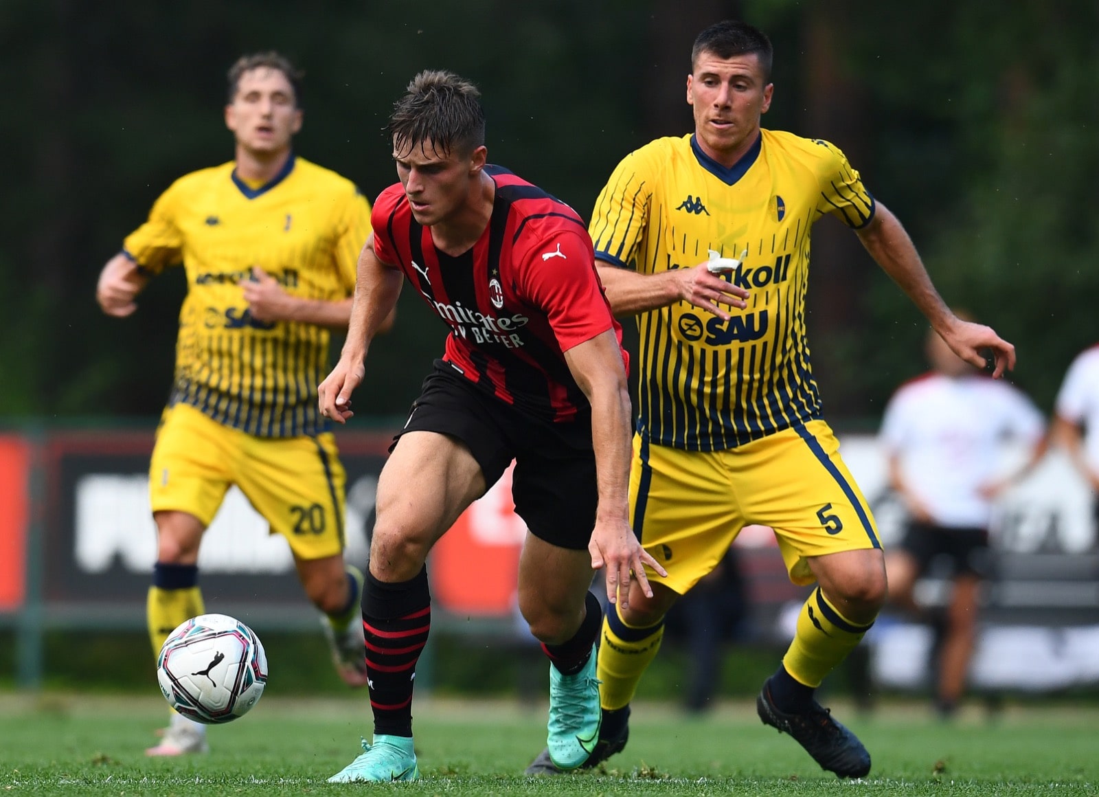 Ingegneri rinnova fino al 2023 Ingegneri rinnova fino al 2023