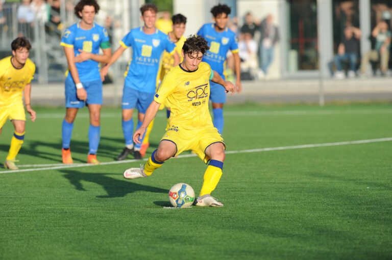 Modena-Palermo 0-2: quel maledetto primo tempo… - Modena FC