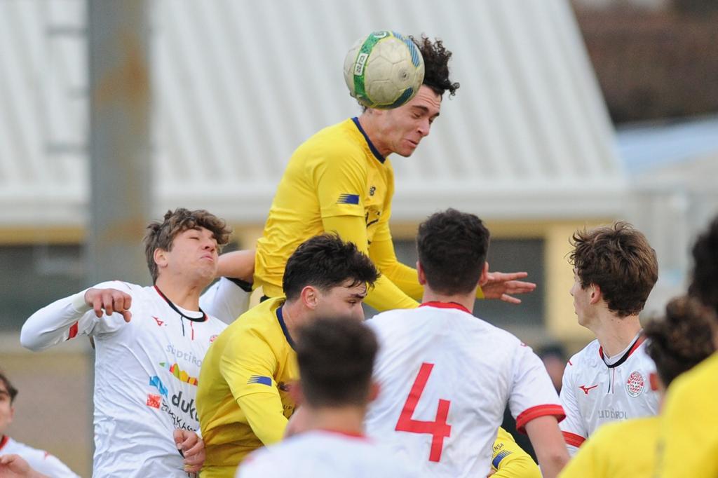 MODENA, GIOVANILI: QUATTRO AMICHEVOLI NEL WEEKEND, LA PRIMAVERA DI MANDELLI  SFIDA IL CITTADELLA VIS MODENA