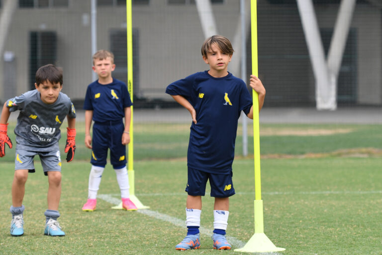 Settore Giovanile: Attività di Base, la squadra