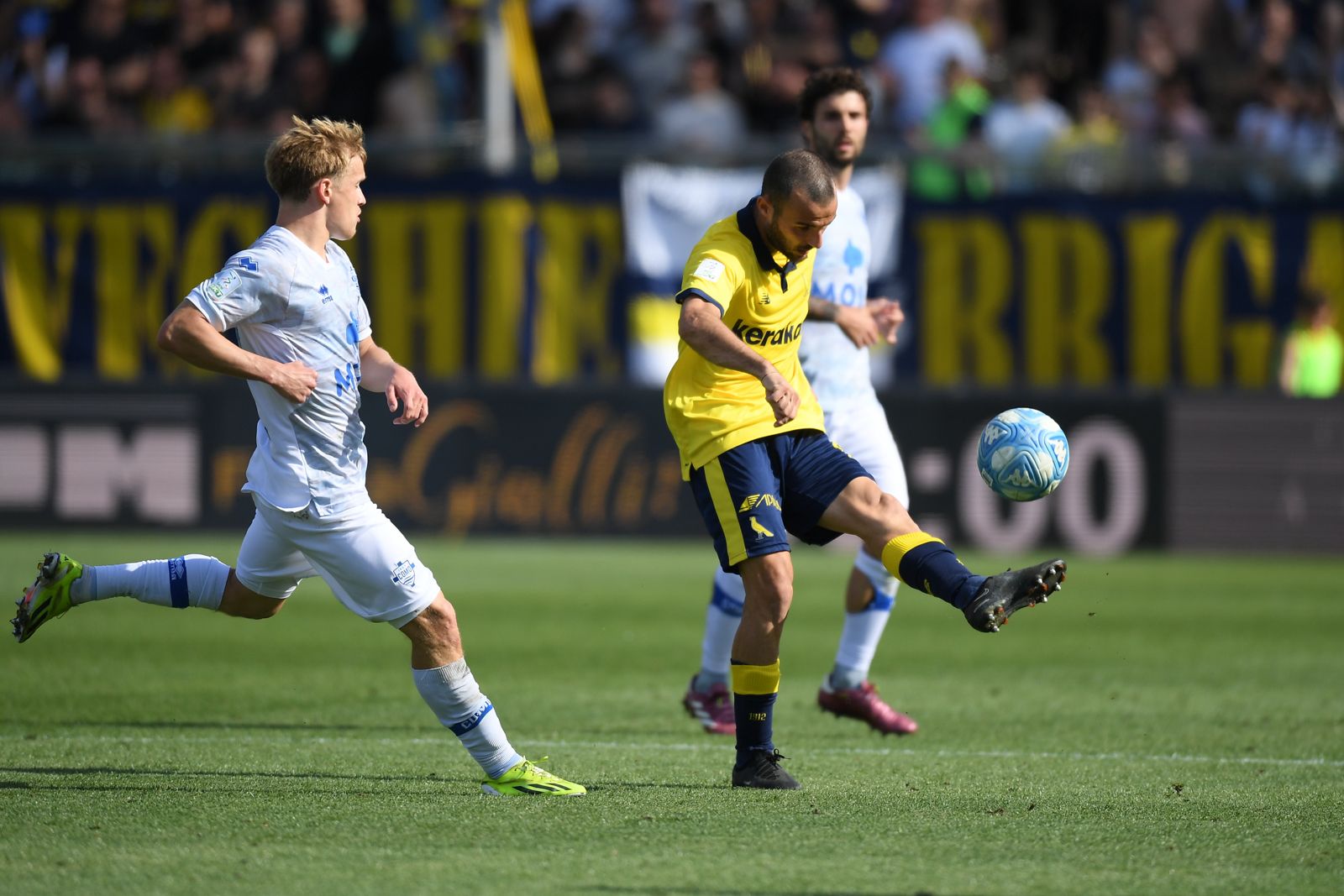 Cotali: “Modena, salvezza diretta” Cotali: “Modena, salvezza diretta”