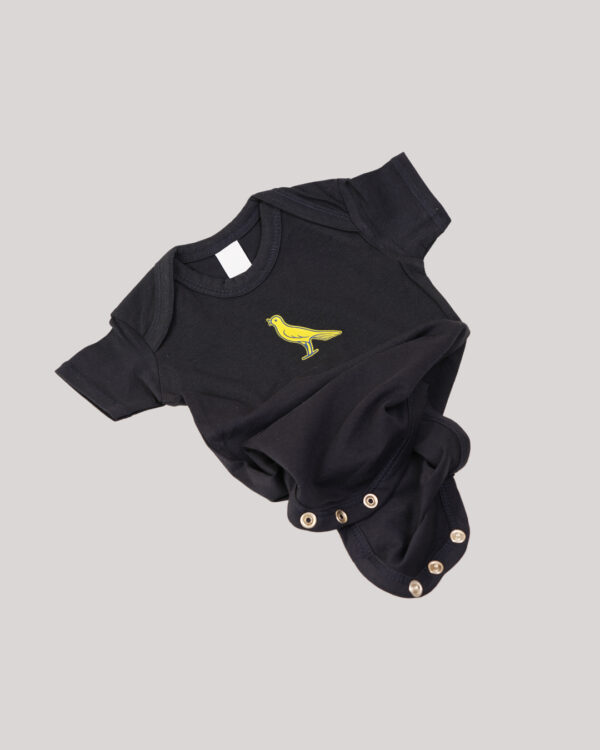 Modena FC body 2024-25