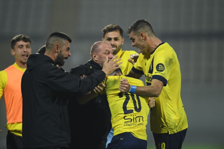 Modena-Cremonese 2-2: un punto a testa al Braglia