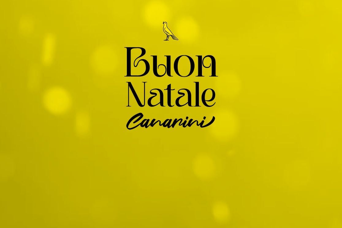 25/12/2024: Buon Natale Canarini