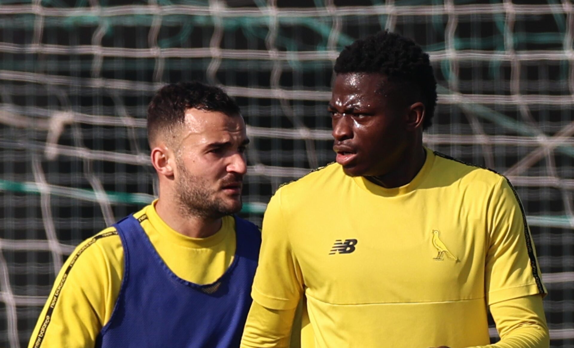 Sampdoria-Modena: i convocati di Mandelli Sampdoria-Modena: i convocati di Mandelli