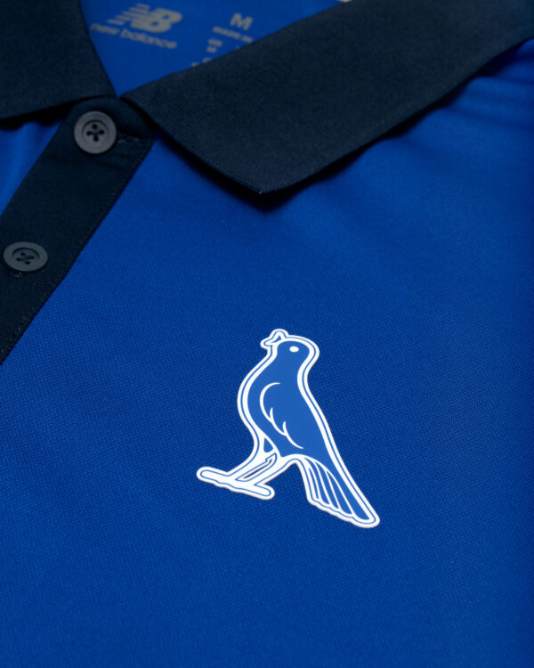 Modena FC polo rappresentanza