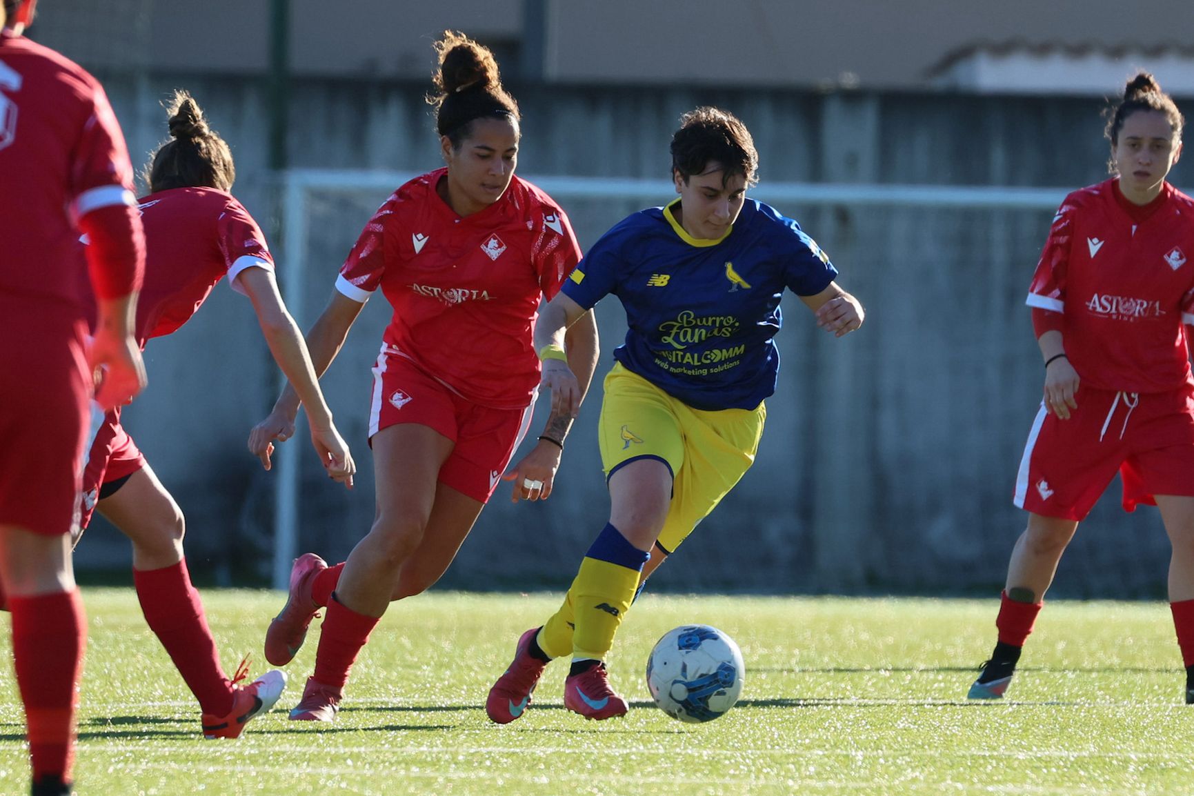 Modena Femminile: ko indolore, canarine alla Poule Promozione Modena Femminile: ko indolore, canarine alla Poule Promozione