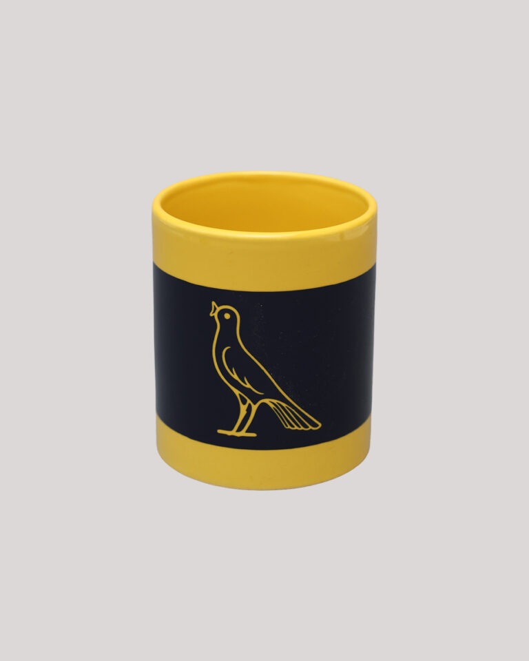 Modena FC tazza