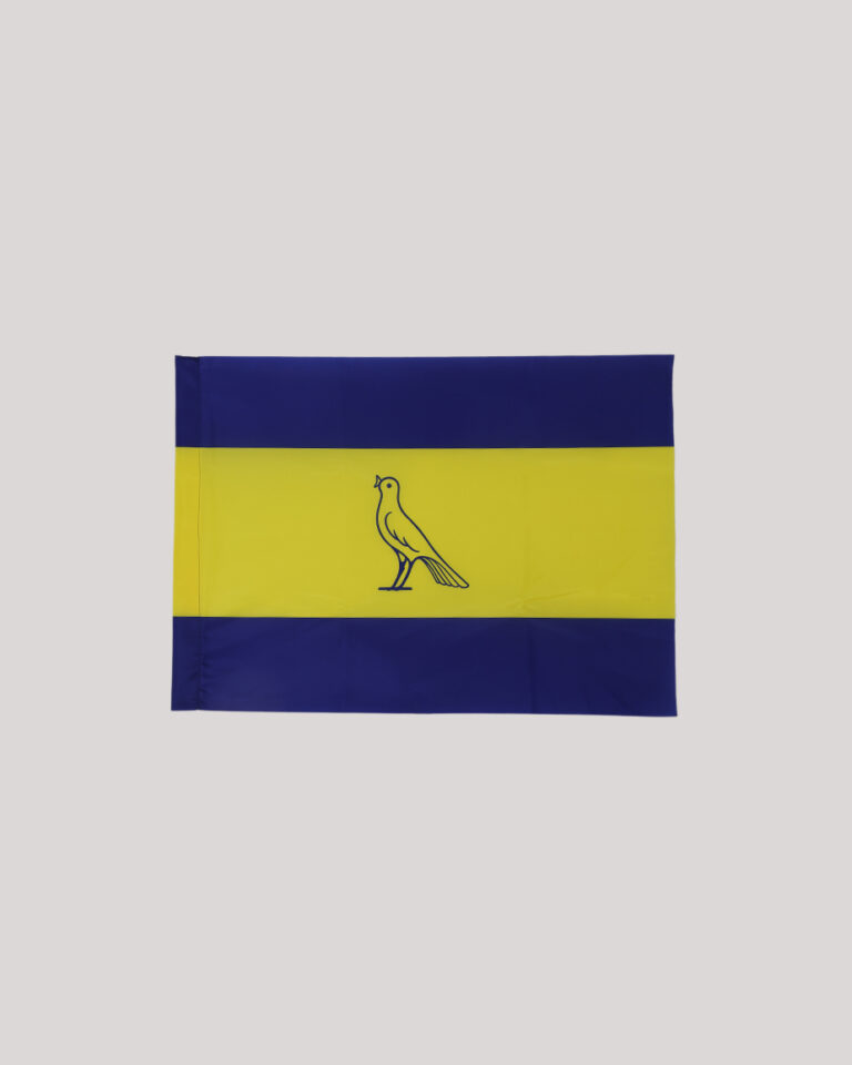 Modena FC bandiera