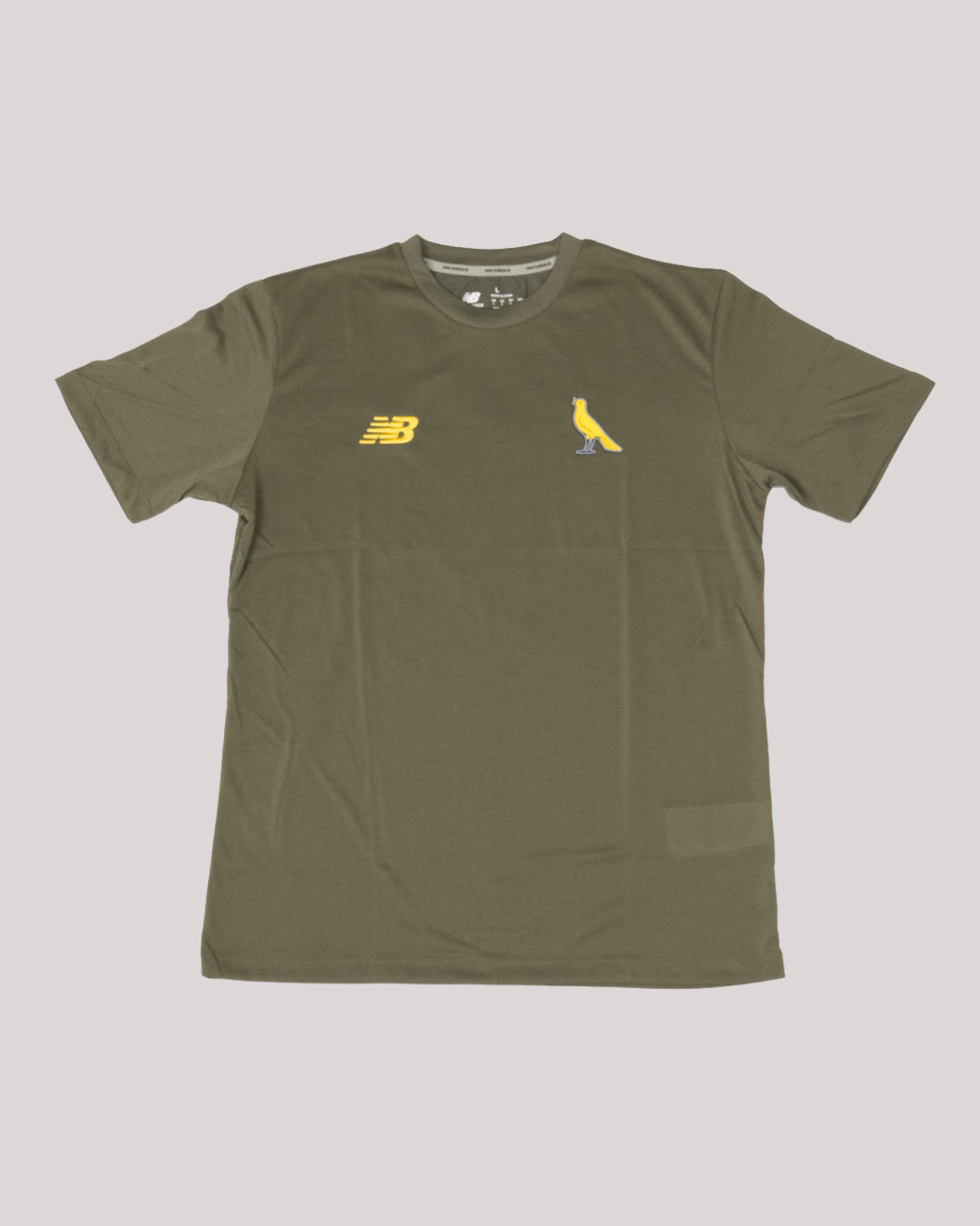 Modena FC t-shirt rappresentanza verde